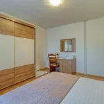 Maruzini Apartament Kanfanar